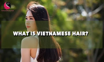 Vietnamese-hair