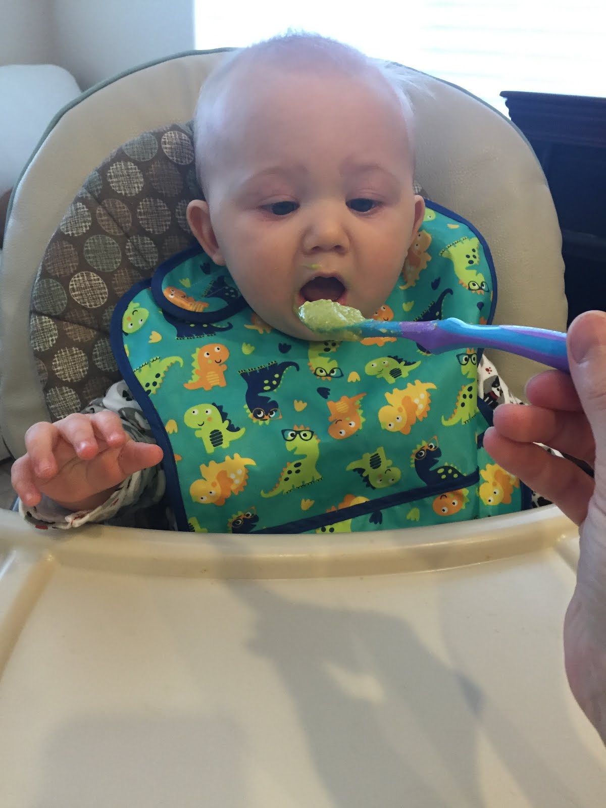 Stage 2 Baby Food Blend Peach & Avocado Puree It's All Gravy, Baby!