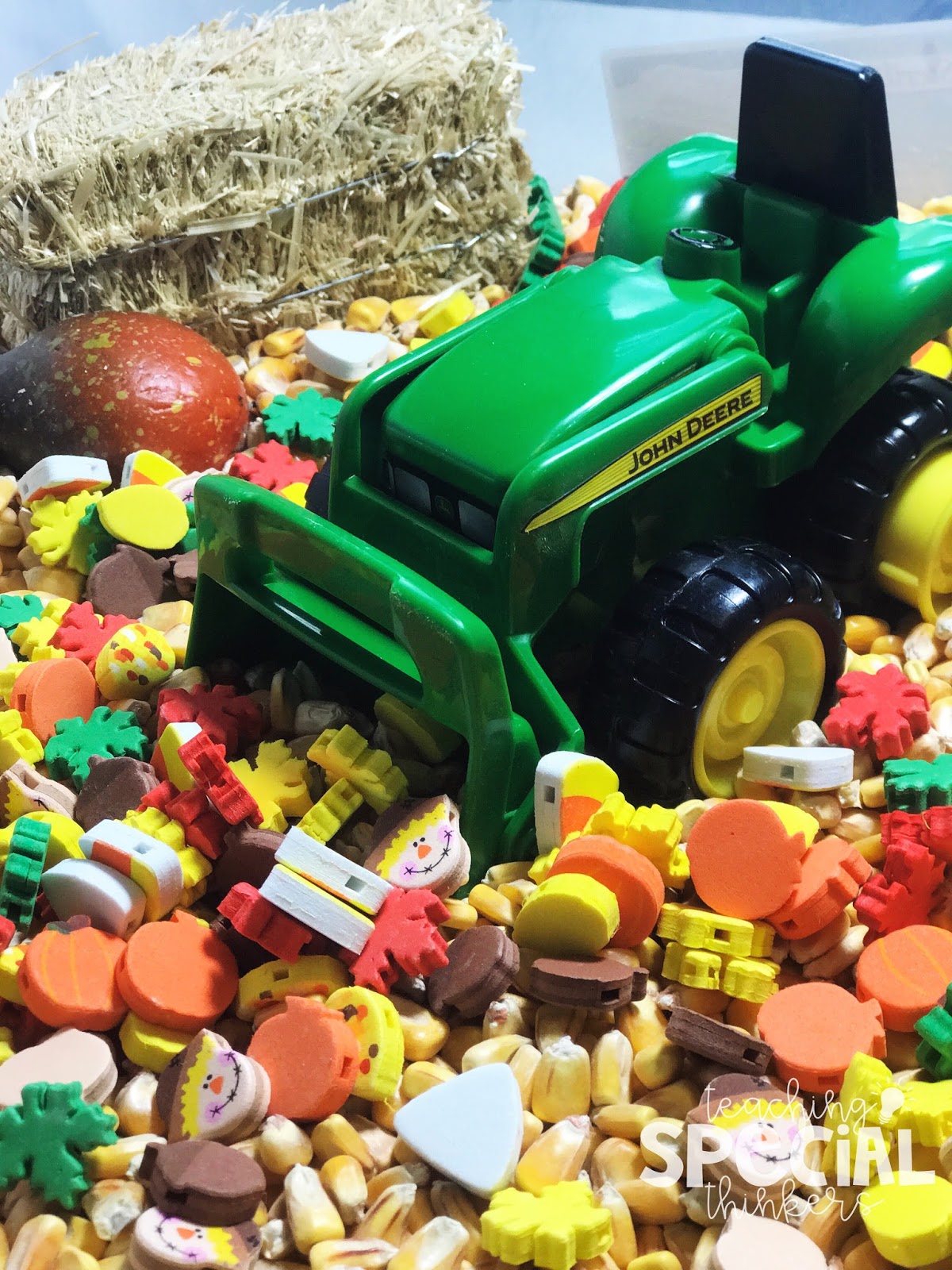 November Sensory Bin Fall Farm Fun!