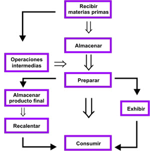 5 maneras de luchar funciones del metabolismo