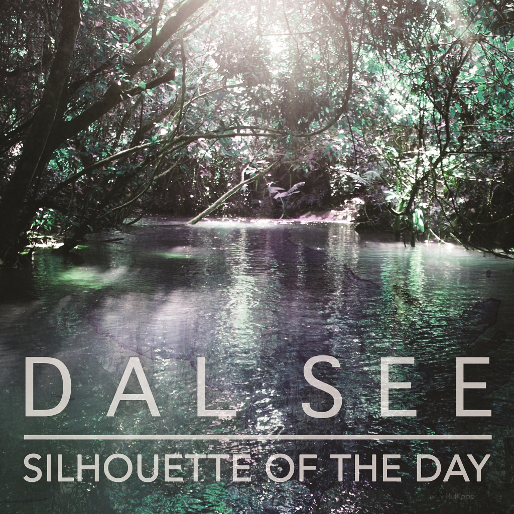 Dal See – Silhouette Of The Day – EP