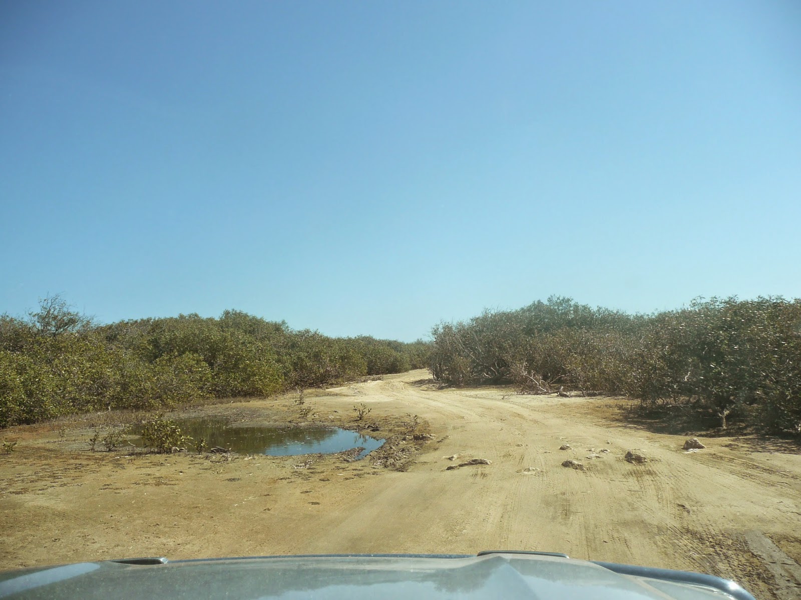 MobileMarshies CARNARVON THE BOAT HARBOUR (AUGUST 2014)