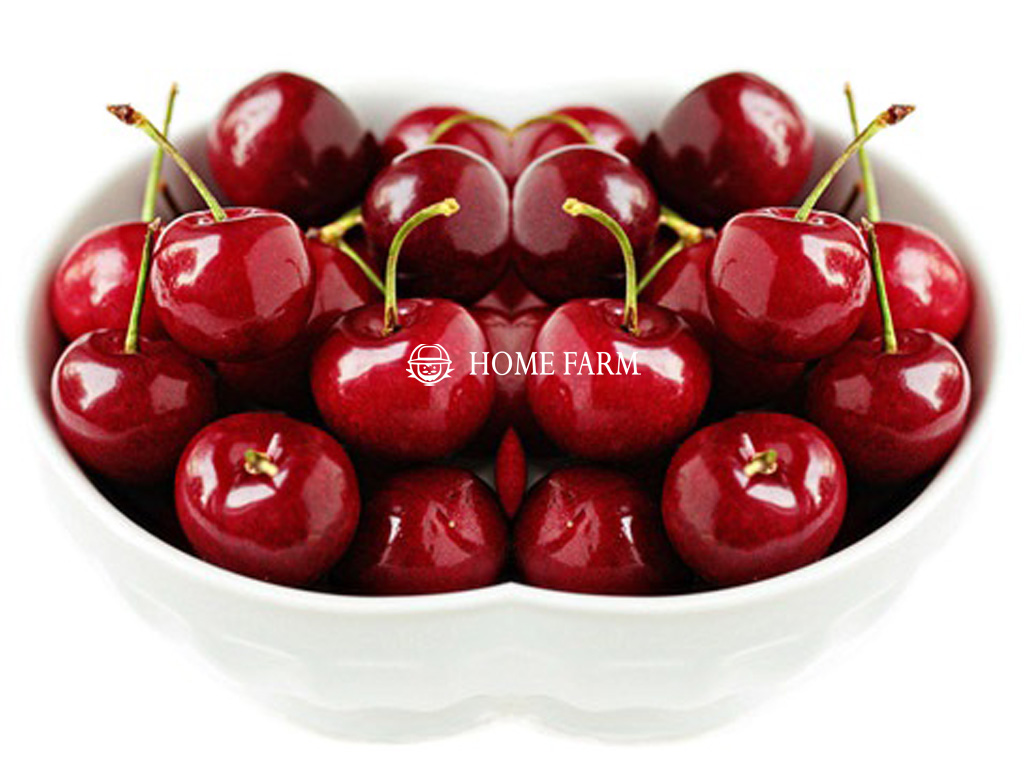 CHERRY NEW ZEALAND Trái cây nhập khẩu July