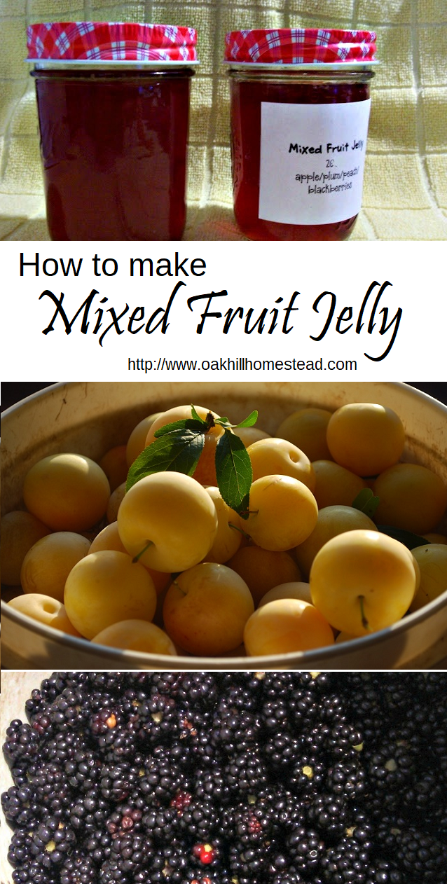 Fruit Scrap Jelly Oak Hill Homestead