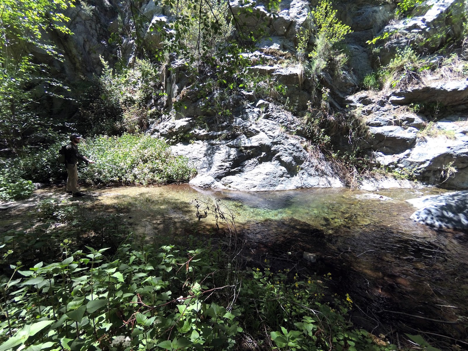 Los Angeles Fly Fishing for Rainbow Trout Hunting the River King