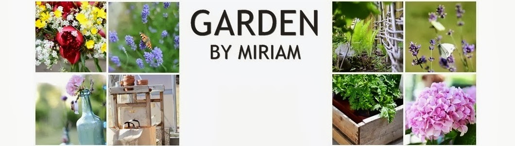 Garden by Miriam