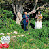 A mum-of-two 'marries' a tree and now intends to change her surname to reflect the species she 'married'.