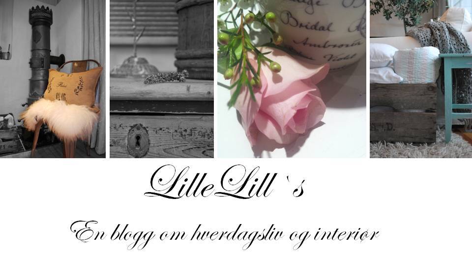 Lille-Lills.blogspot