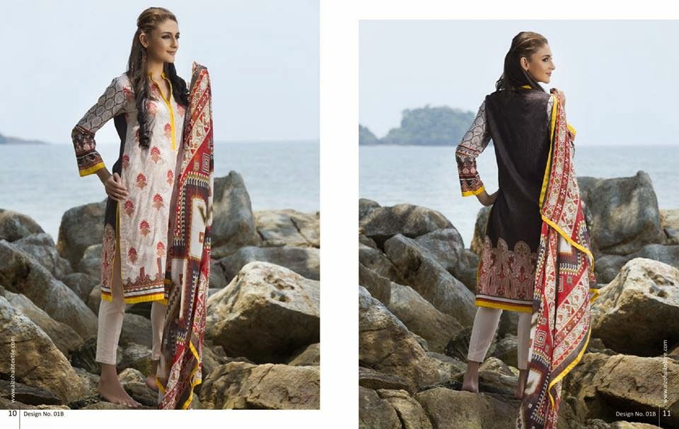 Anaya Summer Embroidered 2015 Lawn Collection 