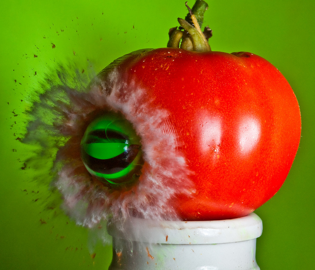 Tomato Dive