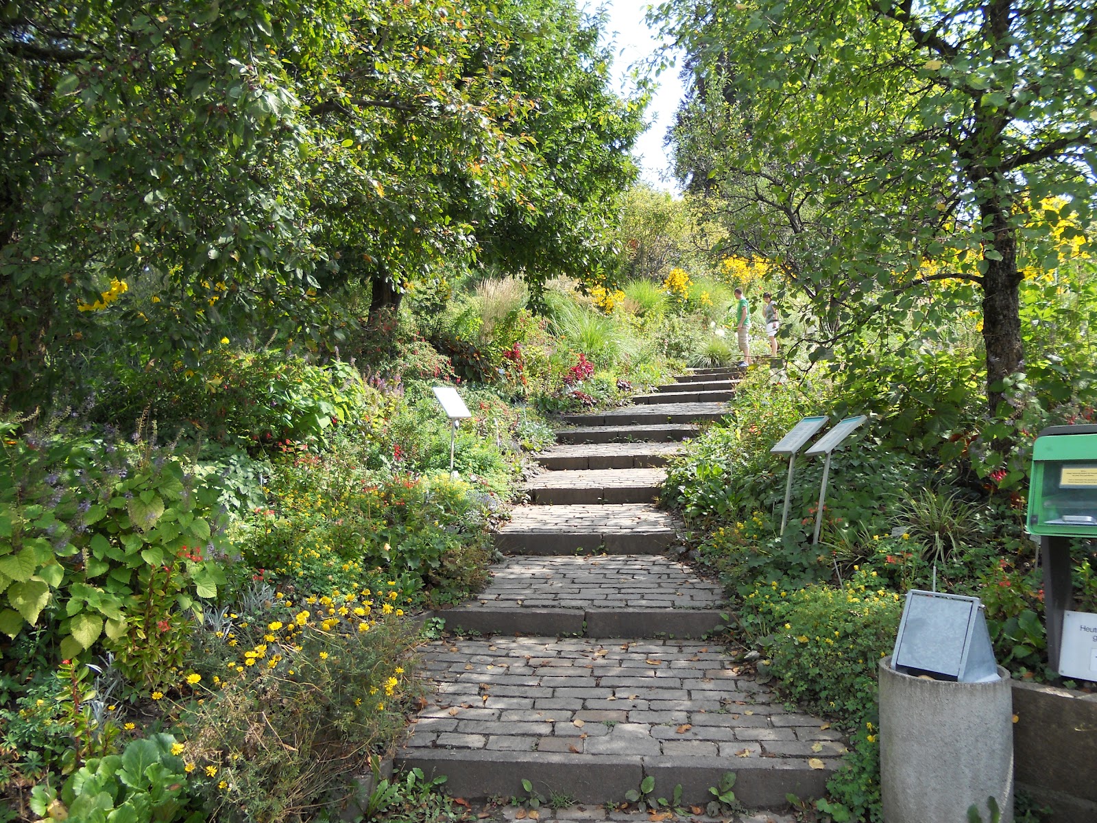 Jardineria Eladio Nonay Jardín Botánico de la Universidad de Zürich