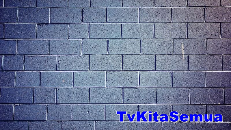 tvkitasemua