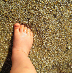 Langkah Pertama Anda: Post Pertama Saya