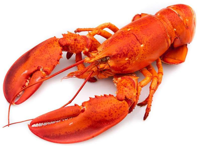 [Image: tom-hum-canada.jpg]