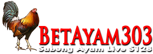 Berita Sabung Ayam | Daftar S128 | Sv388