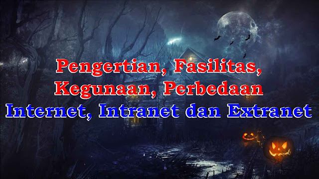 Pengertian, Fasilitas, Kegunaan, Perbedaan Internet, Intranet dan Extranet Pengertian, Fasilitas, Kegunaan, Perbedaan Internet, Intranet dan Extranet