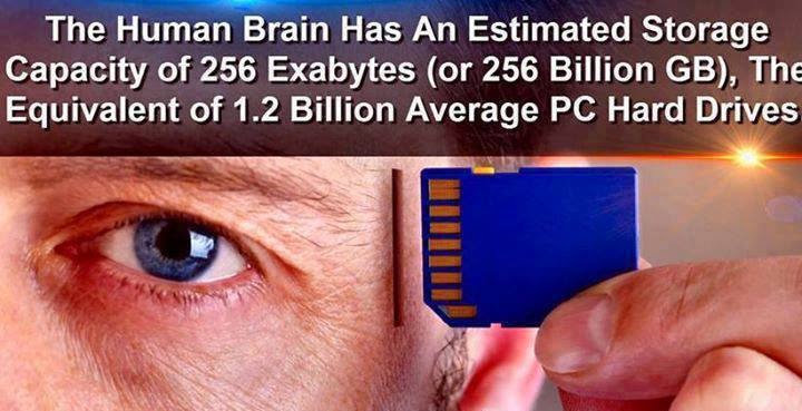 The Human brain has an estimated Storage Capacity of 256 Exabytes ( or ...