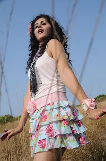 Tapsee Stills From Daruvu [Andhrula Music]