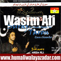 http://ishqehaider.blogspot.com/2013/11/wasim-ali-nohay-2014.html