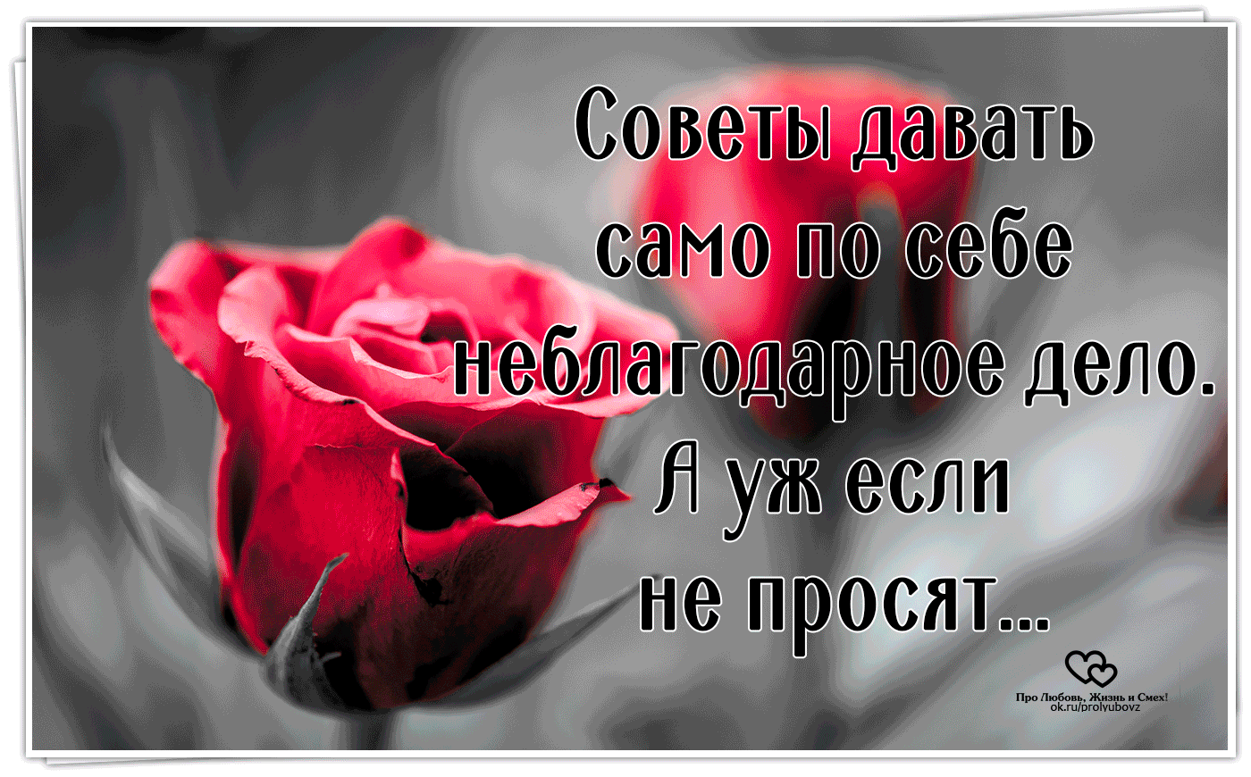 правила дружбы для дошкольников. ангелы грузинской художницы нино чакветадзе. цитаты про поддержку. берегите друг друга любите. афоризмы про сплетни.