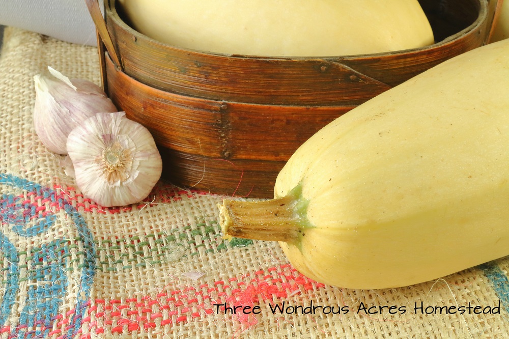 Winter Food Prep Preserving And Using An Abundance Of Squash For