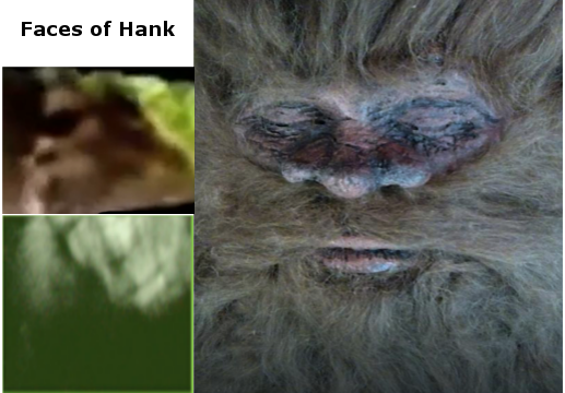 Hank the dead bigfoot