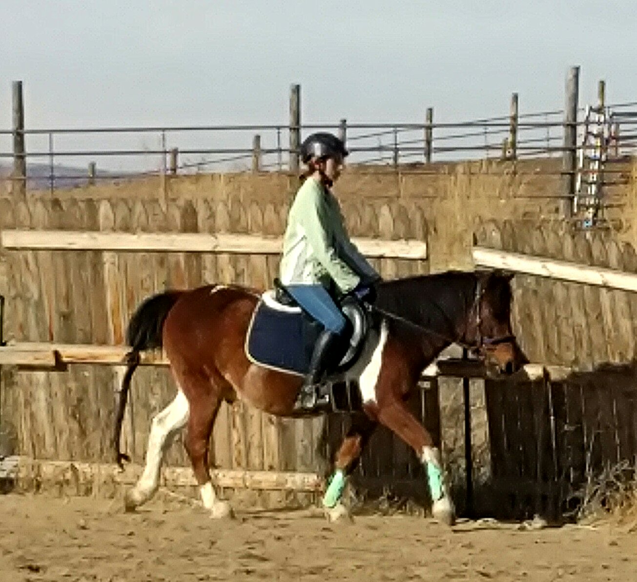 Bit of Honey Training: Girls and Their Ponies