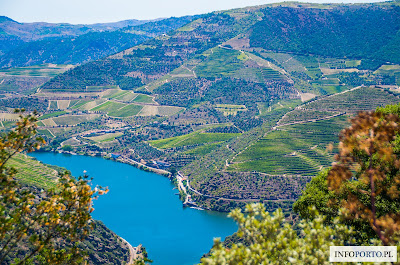 Dolina rzeki Douro w Portugalii i 5 powodów dlaczego warto ją odwiedzić fotografie krzysztof gierak zdjęcia opis przewodnik poradnik zwiedzania 