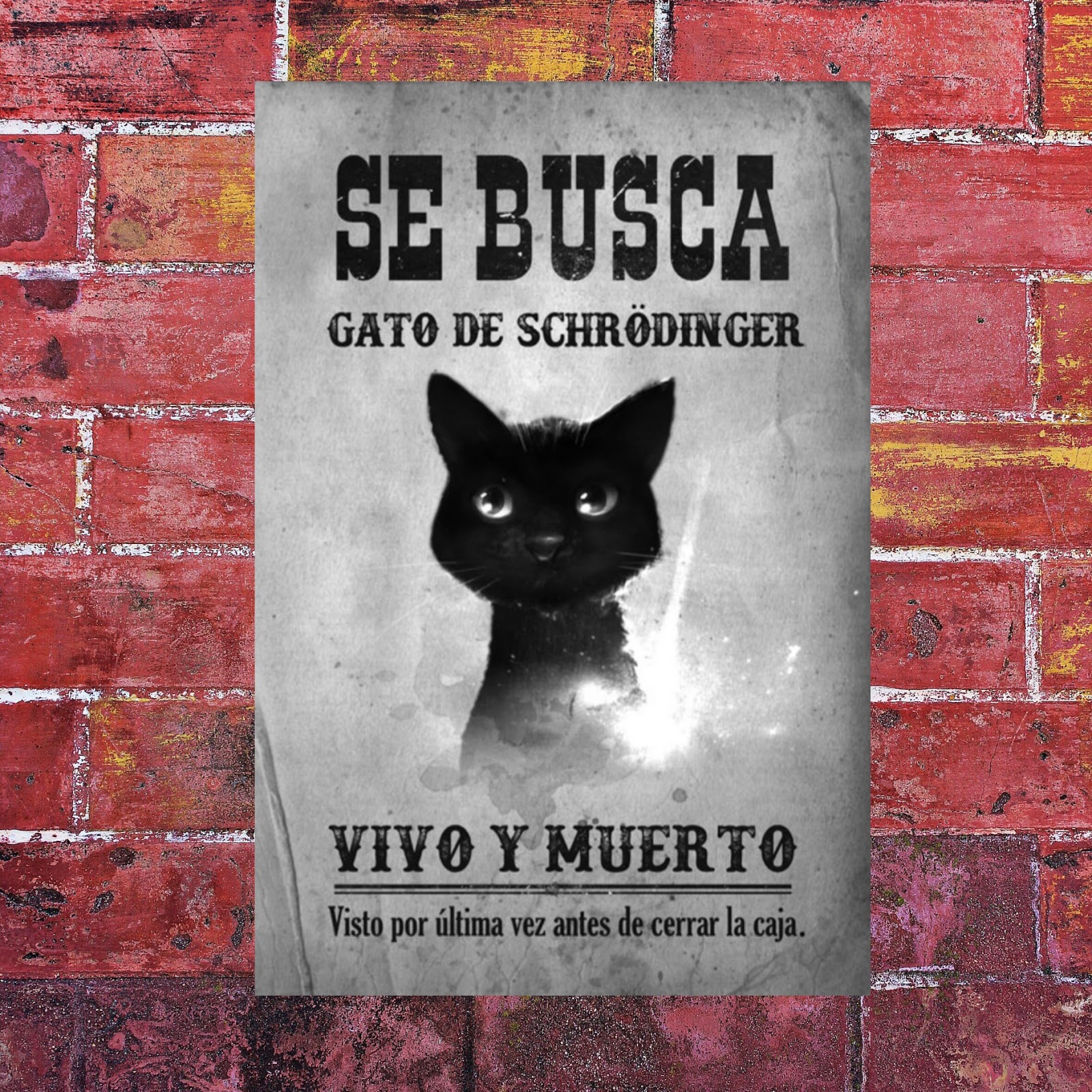 Se Busca El Gato De Schrödinger