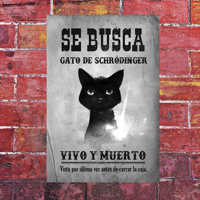 gato-schrodinger