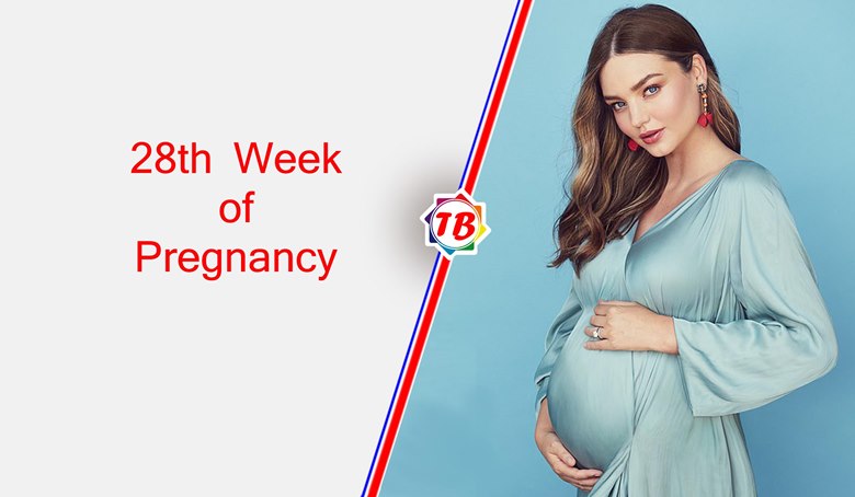 28th Week of Pregnancy