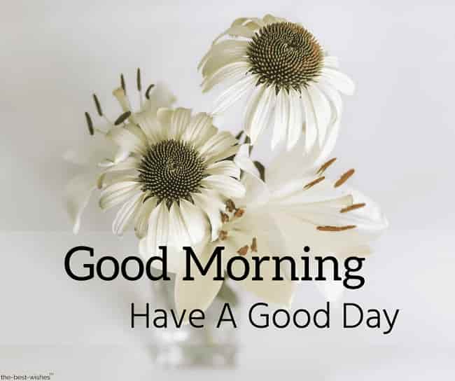 Just Following Jesus In My Real Life Experimenting With White