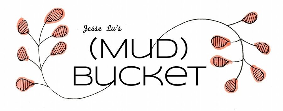 (Mud)Bucket