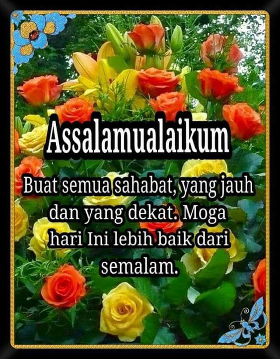 Gratis Unduh Gambar Meme Assalamualaikum Selamat Pagi Blog Kumpulan Meme Terupdate by www.katacinta.co