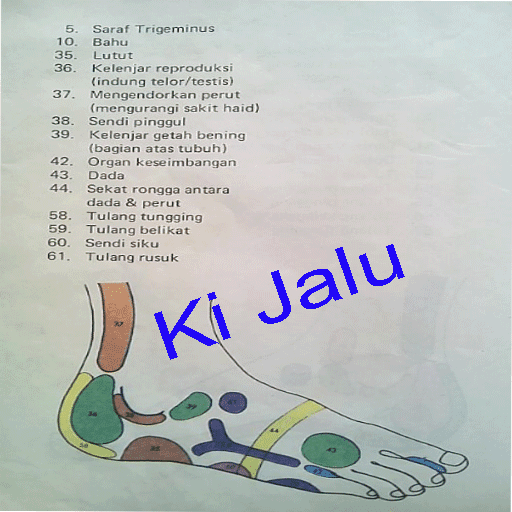 pijat refleksi lengkap pdf pijat refleksi lengkap pdf