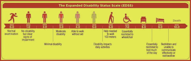Kurtzke Expanded Disability Status Scale Edss