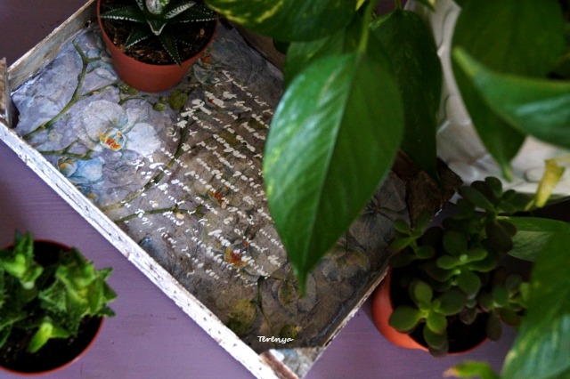 como-reciclar-caja-de-fresas