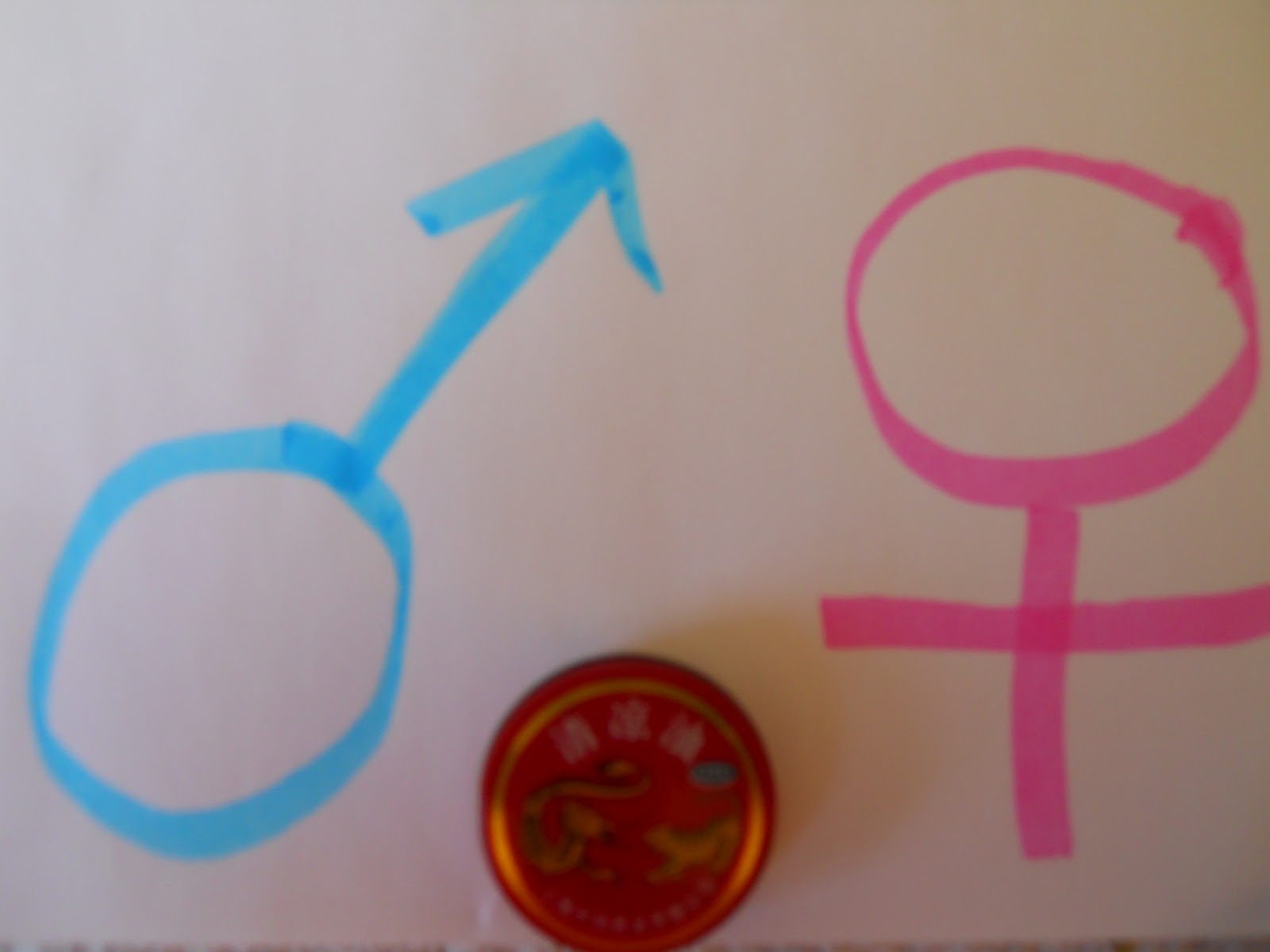 My Biological Collection Hermaphrodite