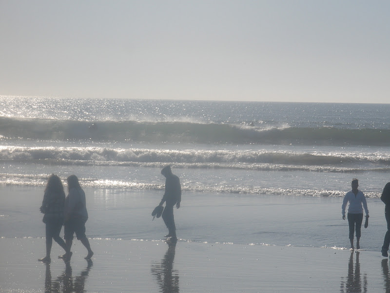 Lone Ocean Swimmer, Oceanside, CA Christmas Day Oceanside Pier Swim