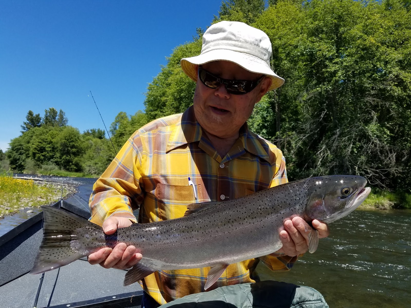 Guided Fishing on the Rogue and Umpqua Rivers' for Salmon and Steelhead
