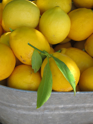 Bentobird: pretty petaluma, garden zucchini and lamb casserole