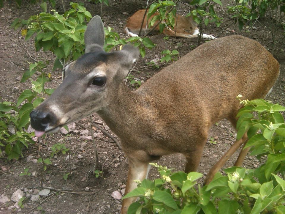 GCP VISITA EL PARQUE NATURAL 