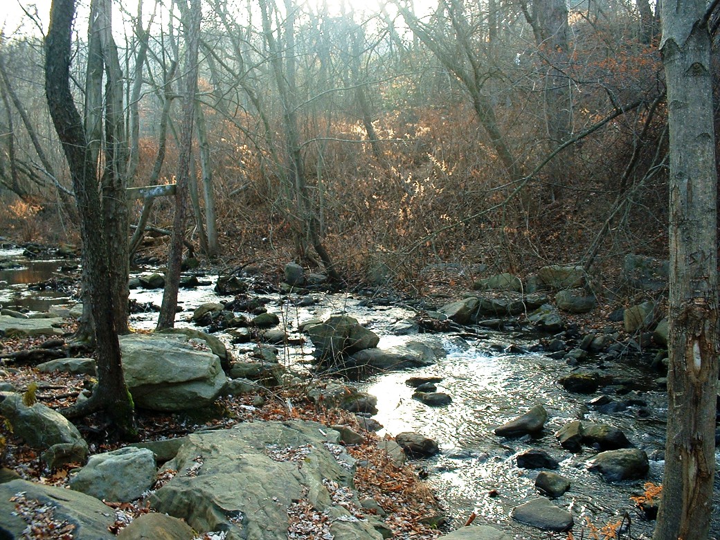 Frank's Place Stafford Meadow Brook