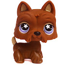 Littlest Pet Shop Large Playset Scottie (#789) Pet Littlest Pet Shop Large Playset Scottie (#789) Pet