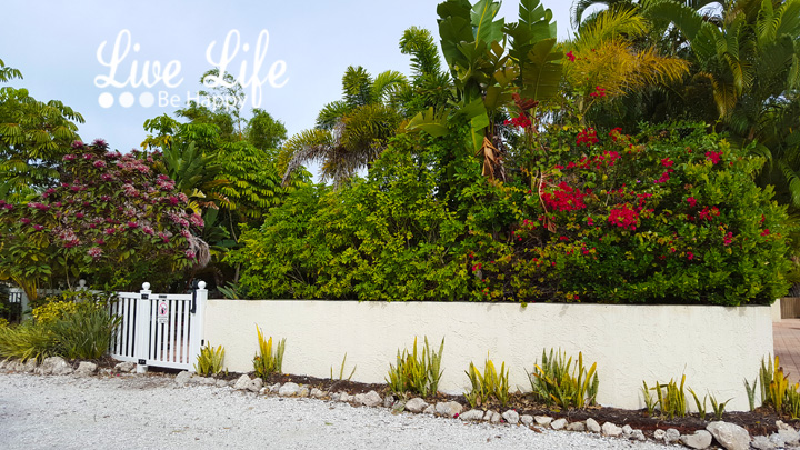 Live Life Be Happy Sunrise Garden Resort Review Anna Maria Florida