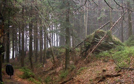 Wzdłuż pasa wychodni wchodzimy na Muřínkový vrch (978 m n.p.m.).