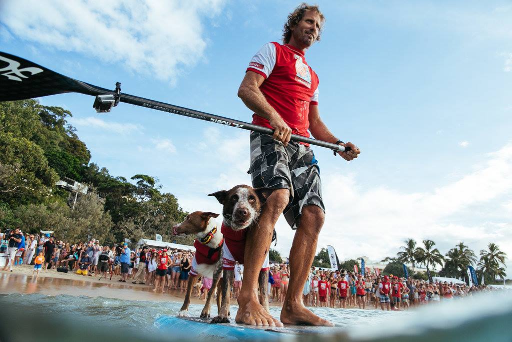 Surfing Dogs How to Teach A Dog to Ride A Surfboard