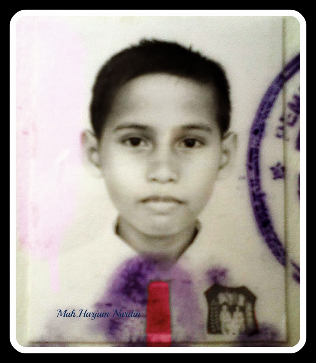 Experiences in elementary school ( SD ) Muhammad Harjum