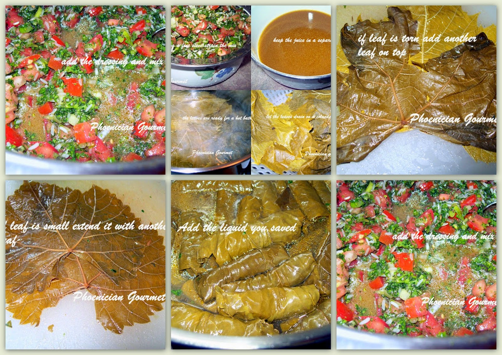 Phoenician Gourmet Vegetarian Stuffed Grape Leaves