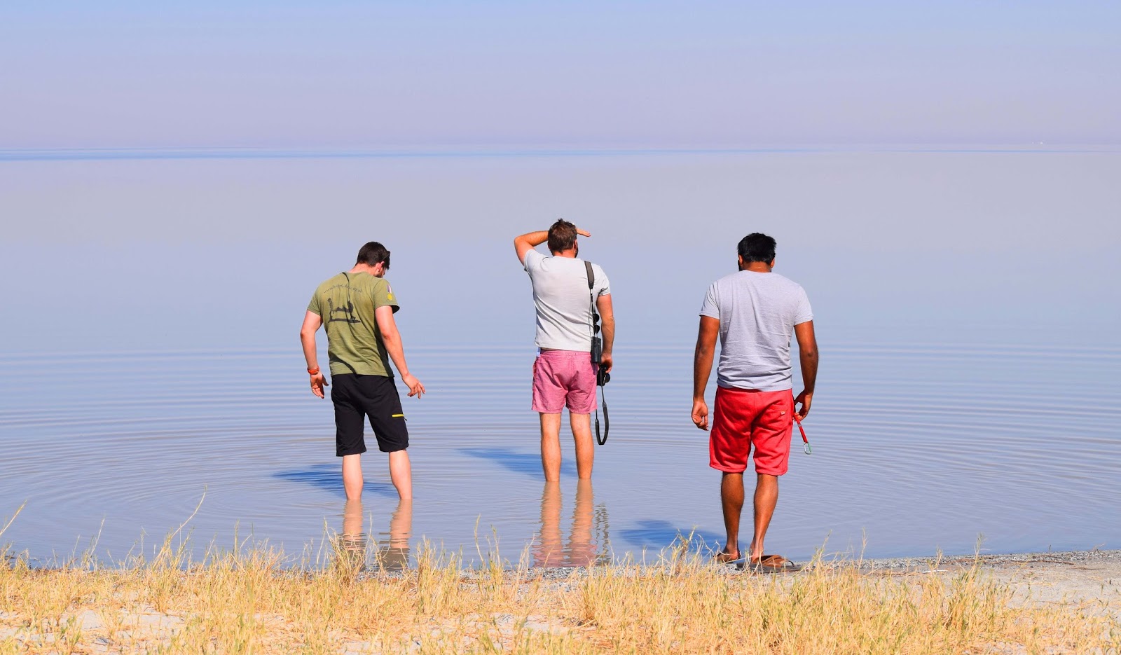 Color Garden The Blues